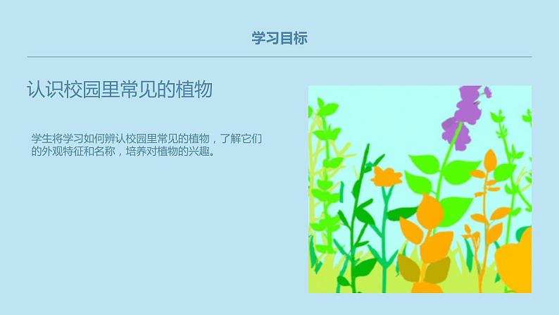 小学一年级上教科版科学：校园里的植物上课课件第5页