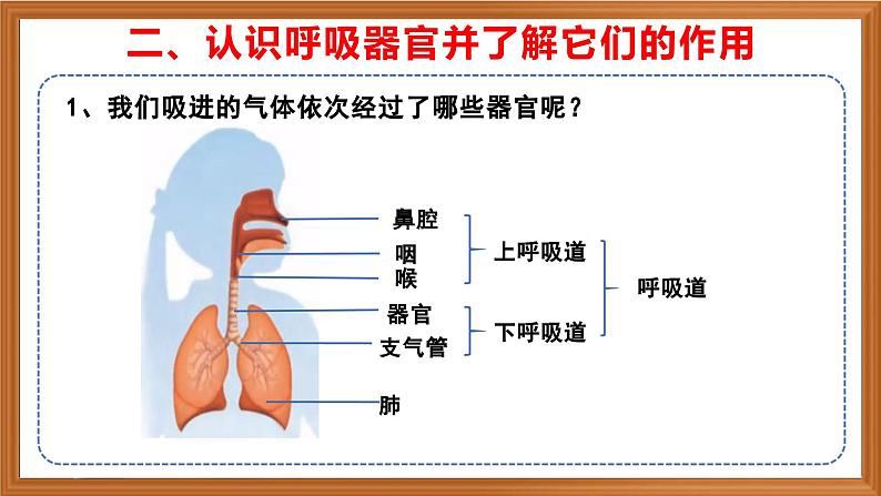 苏教版小学科学三上第五单元《16 人的呼吸》课件+教案+视频+作业07