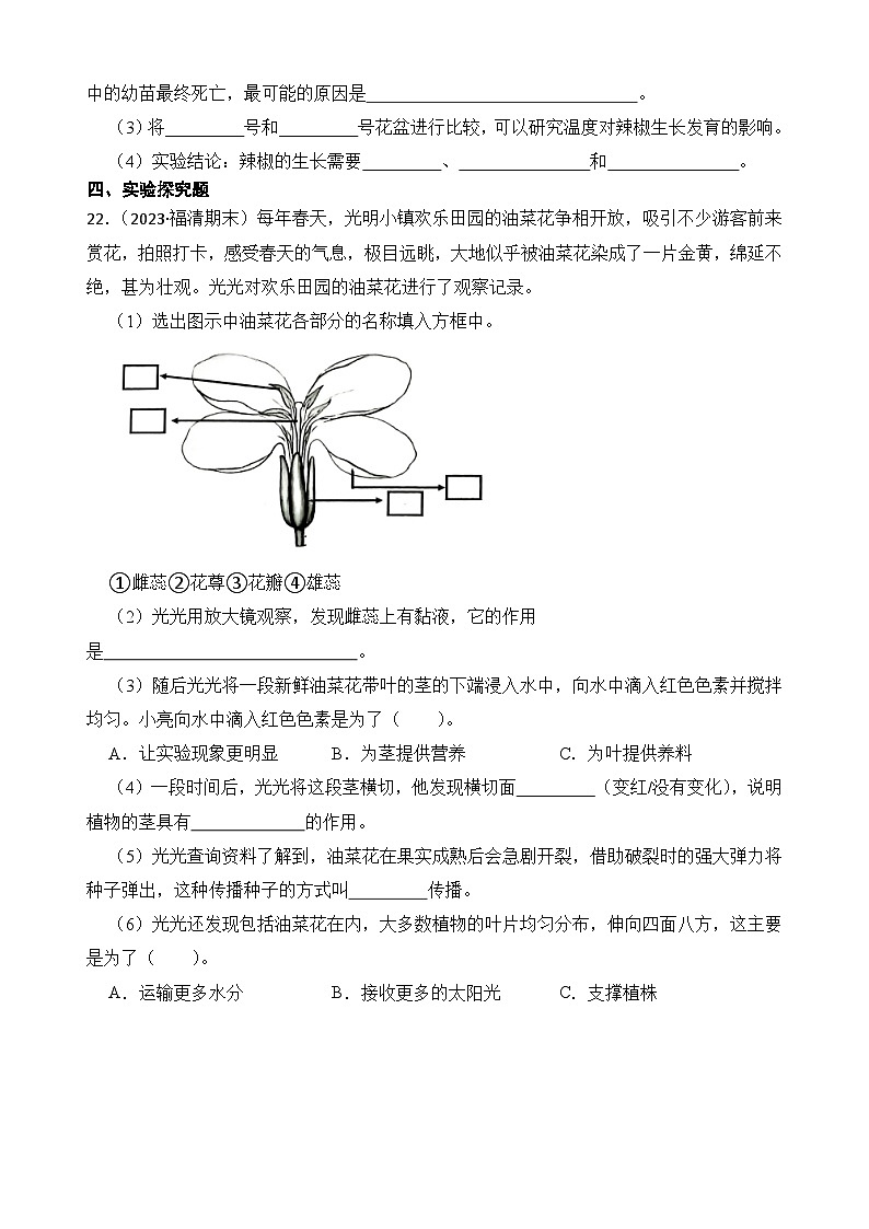 第一单元++植物的生长变化-2023-2024学年四年级科学下册期末备考真题分类汇编（福建专版）03