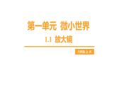 第一單元 微小世界-1.1 放大鏡（練習(xí)課件）