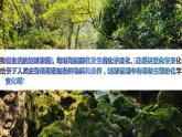 第5課 地球家園的化學(xué)變化（教學(xué)課件）-2023-2024學(xué)年六年級科學(xué)下冊同步精品課堂系列（教科版）