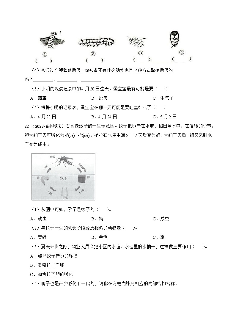 第二单元动物的一生-2023-2024学年三年级科学下册期末真题专练（广东专版）第3页