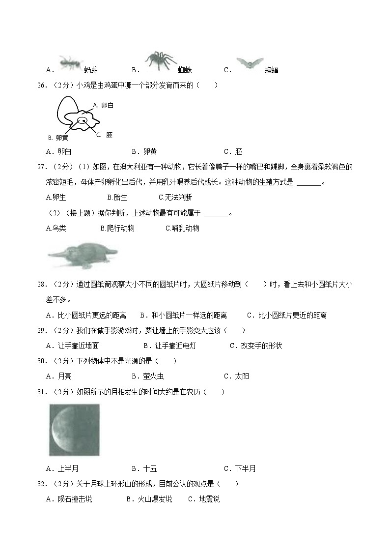 2021-2022学年浙江省杭州市临安区三年级（下）期末科学试卷03