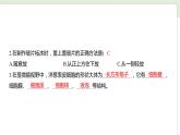 第一单元 微小世界-1.4 观察洋葱表皮细胞（练习课件）
