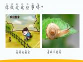 小学科学苏教版一年级上册第一单元第1课《小小科学家》教学课件（2024秋最新版）