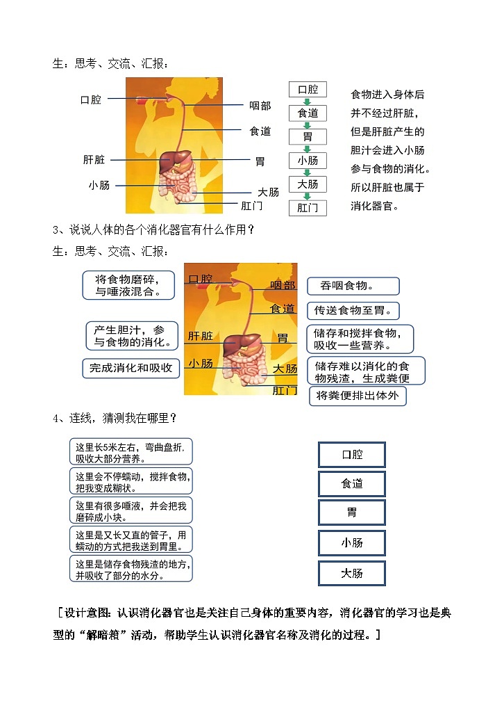 苏教版小学科学三上第五单元《18 食物的旅行》课件+教案+视频+作业03