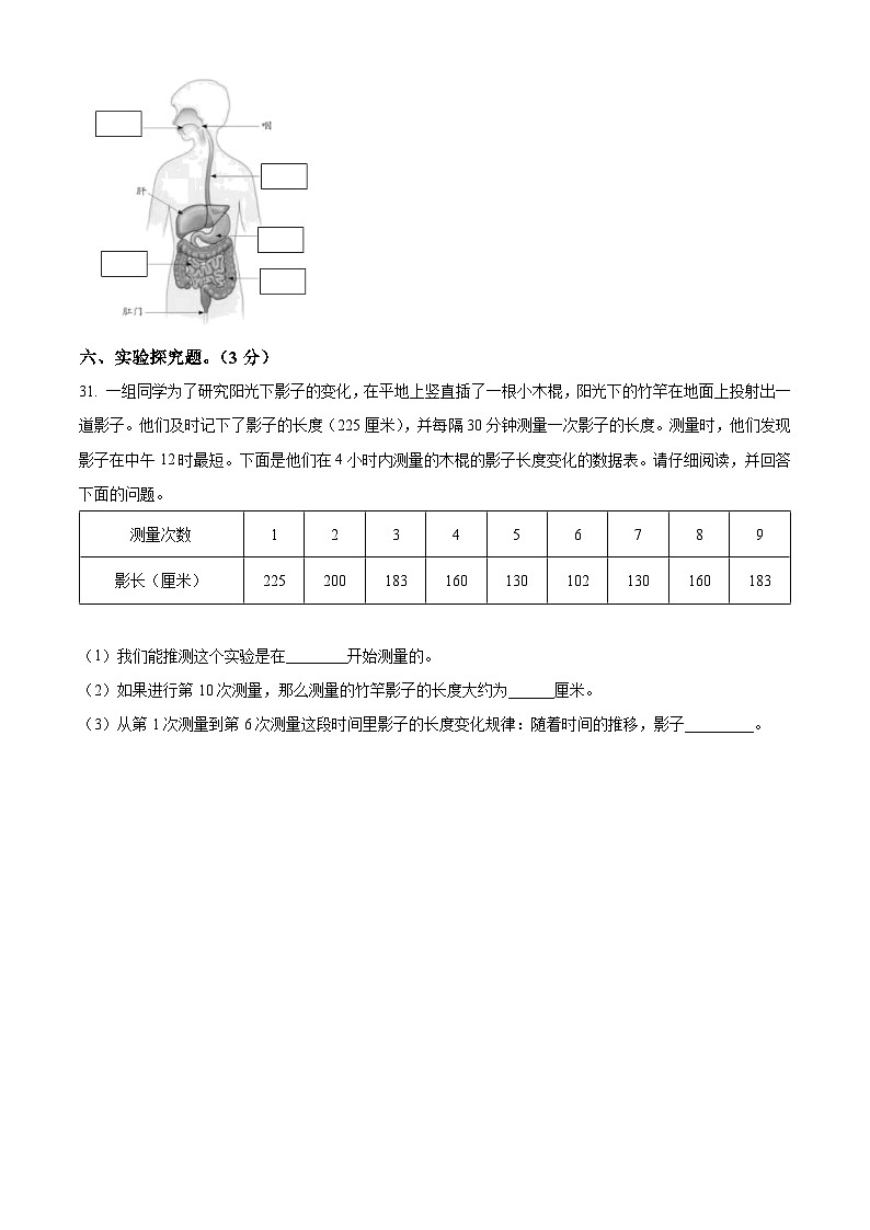 2022-2023学年山东省德州市乐陵市青岛版三年级下册期末考试科学试卷（原卷版+解析版）03