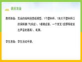 教科版 科学 四上 1.4《我们是怎样听到声音的》课件+教案（表格式+教学反思）