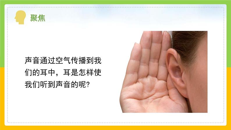 教科版 科学 四上 《我们是怎样听到声音的》课件+教案（含教学反思）04