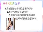 苏教版科学五年级下册  3.3《我是怎样出生的》课件