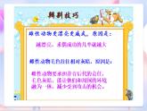 苏教版科学五年级下册 3.2《动物是怎么繁殖的》课件