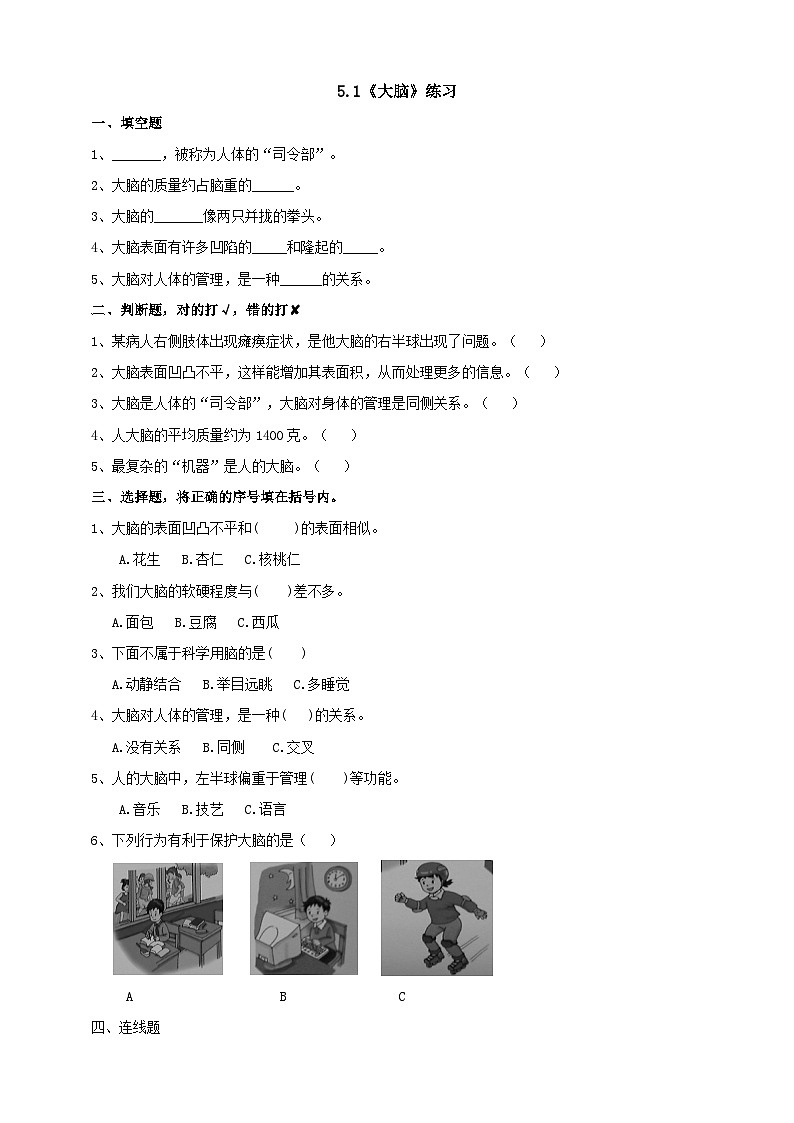 苏教版科学五年级下册  5.1《大脑》课件+教案+练习+素材01