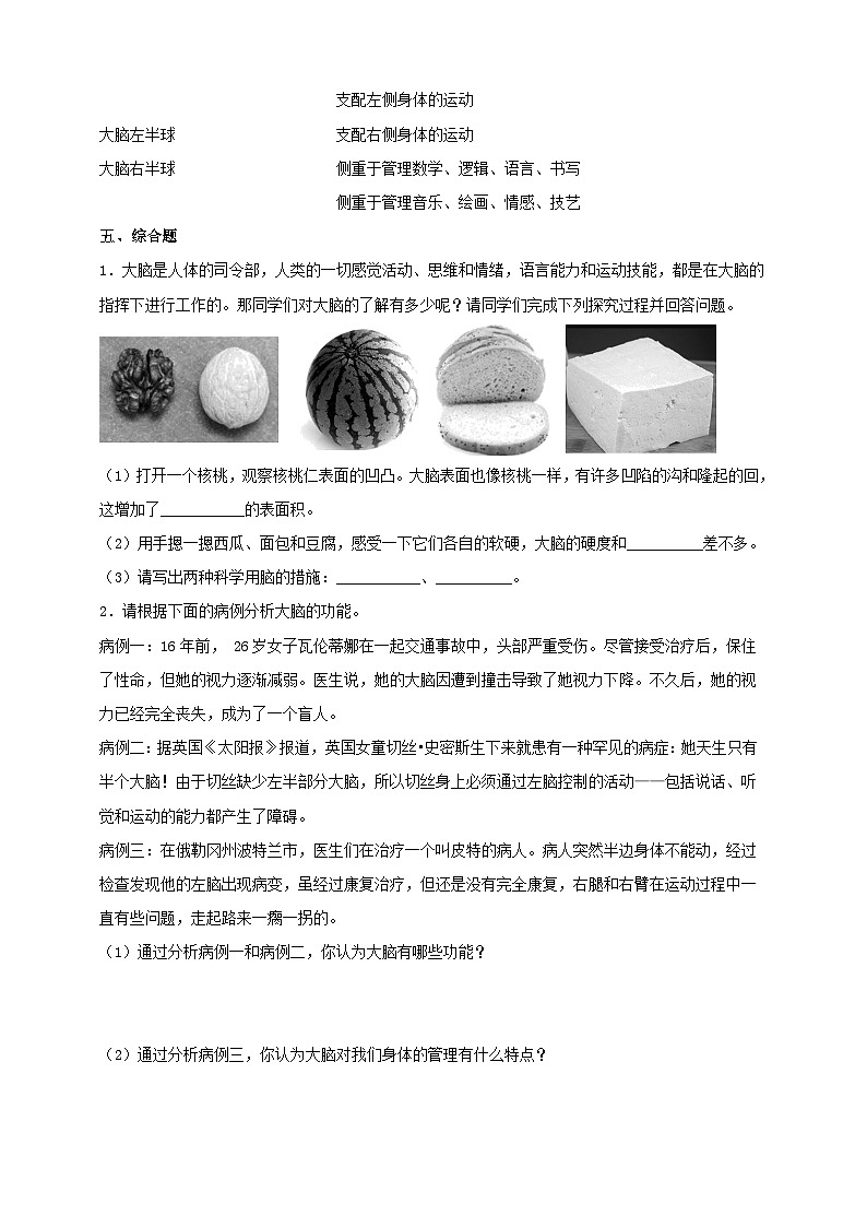 苏教版科学五年级下册  5.1《大脑》课件+教案+练习+素材02