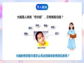 苏教版科学五年级下册    5.2《神经》课件+教案+练习+素材