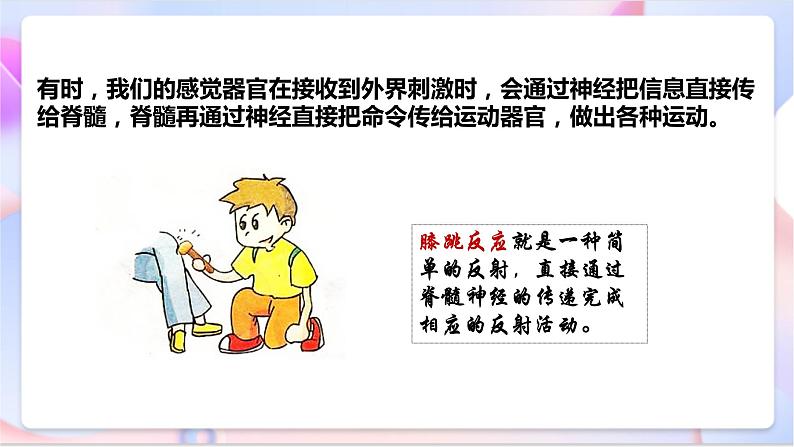 苏教版科学五年级下册    5.2《神经》课件第7页