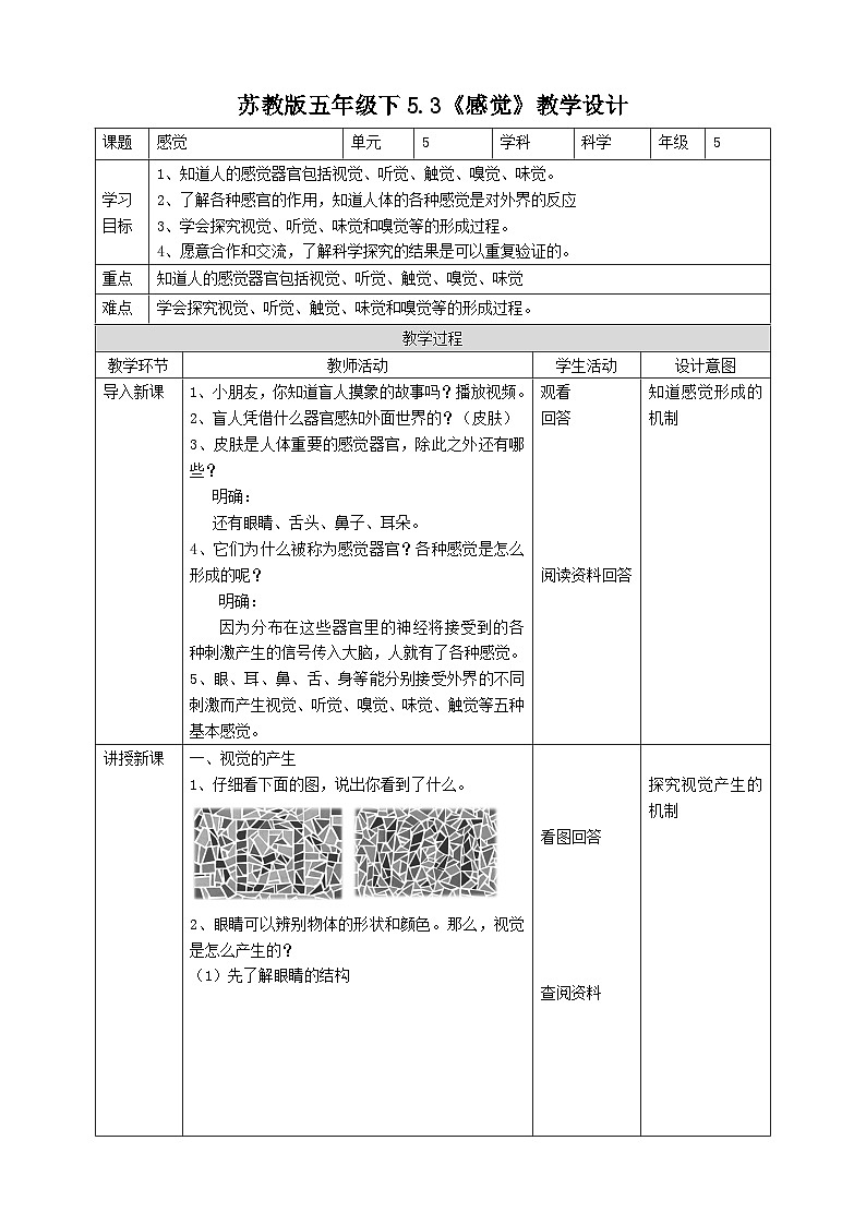 苏教版科学五年级下册    5.3《感觉》教案第1页