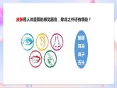 苏教版科学五年级下册    5.3《感觉》课件+教案+练习+素材