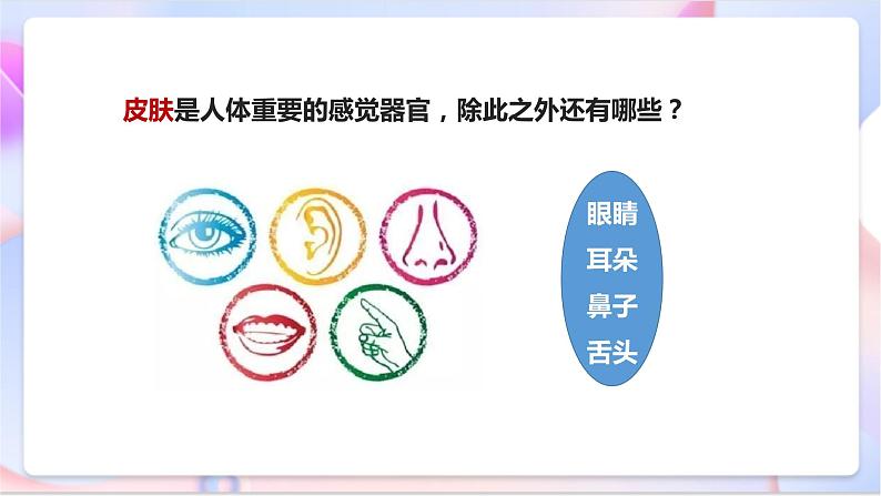 苏教版科学五年级下册    5.3《感觉》课件第5页