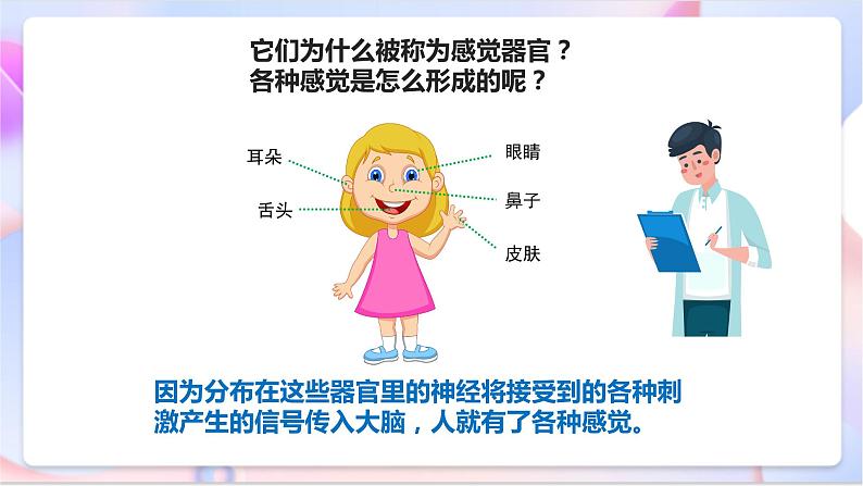 苏教版科学五年级下册    5.3《感觉》课件第6页