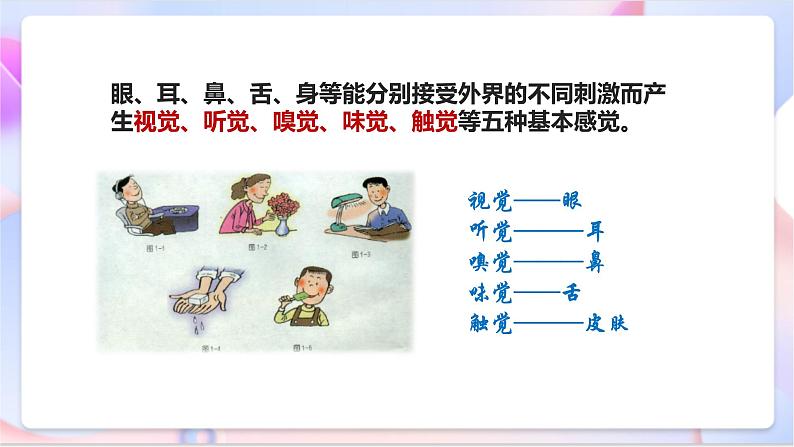 苏教版科学五年级下册    5.3《感觉》课件第7页
