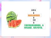 苏教版科学五年级下册    6.2《质疑》课件+教案+练习