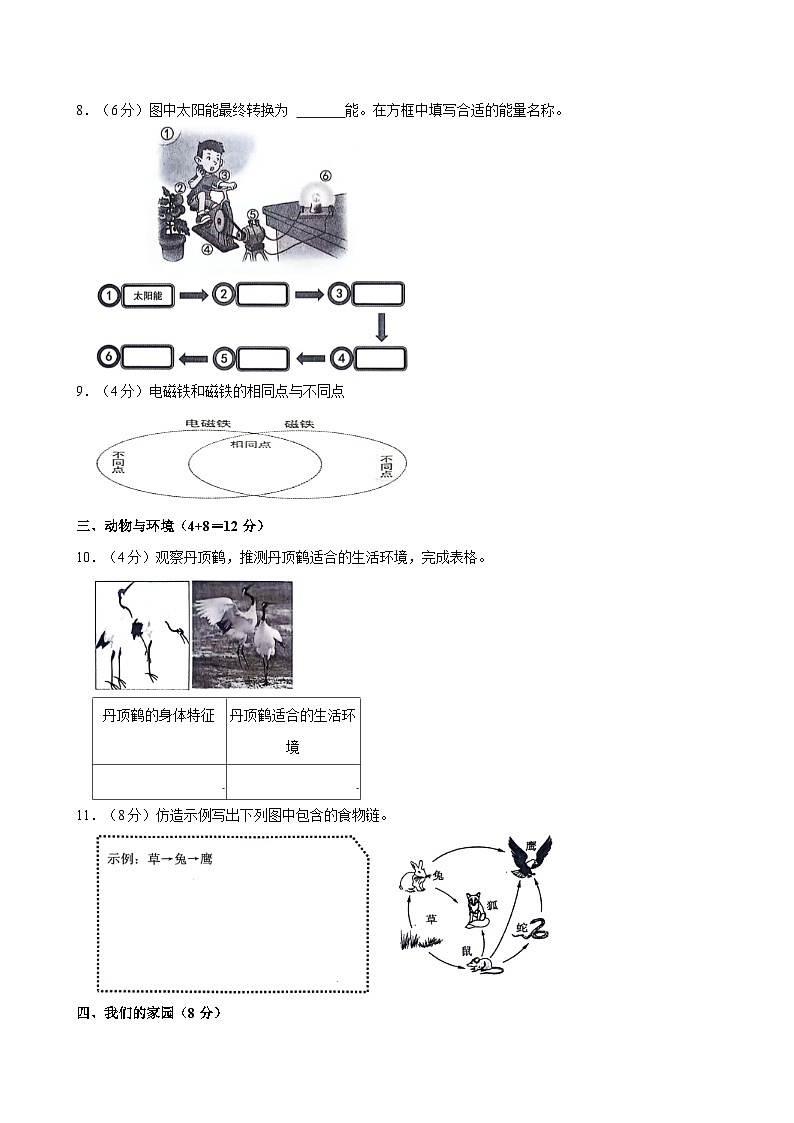 2024年河南省新乡市卫辉市小升初科学试卷03