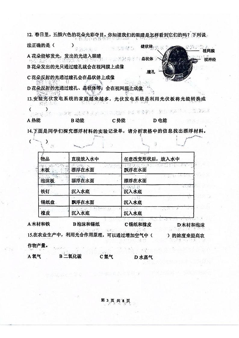 山东省青岛市2023-2024学年五年级下学期6月期末科学试题03