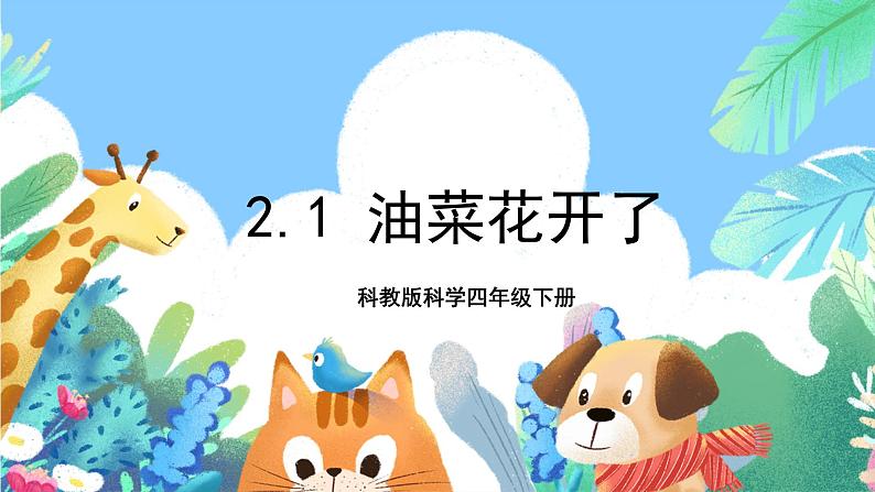 科教版科学四年级下册 2.1《油菜花开了》课件第1页