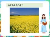 教科版科学四年级下册 2.1《油菜花开了》教学设计+反思+课件+习题附答案+微课+活动记录单