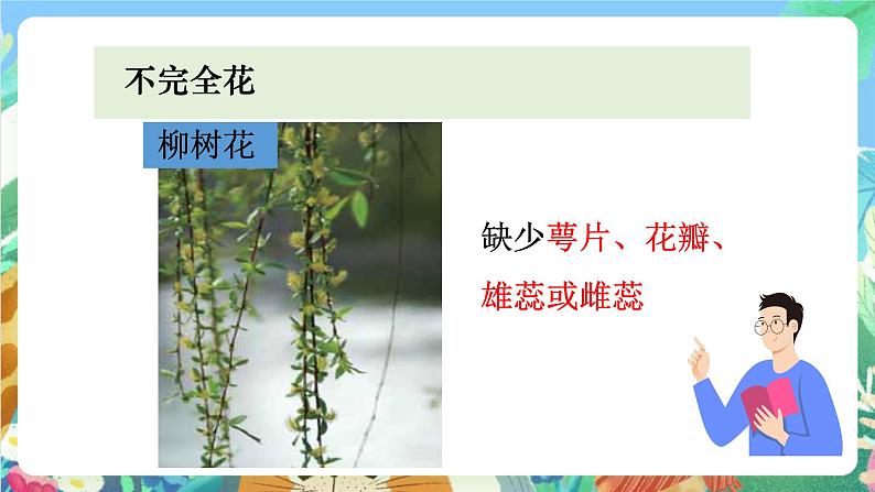 教科版科学四年级下册 2.2 《各种各样的花》教学设计+反思+课件+习题附答案+素材05