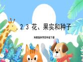 教科版科学四年级下册 2.3  《花、果实和种子》教学设计+反思+课件+课后习题附答案+素材