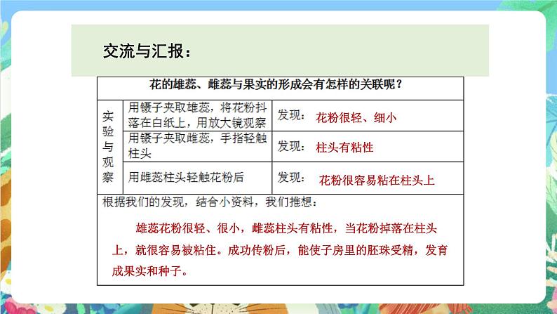 教科版科学四年级下册 2.3  《花、果实和种子》教学设计+反思+课件+课后习题附答案+素材08