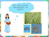 教科版科学四年级下册 2.4 《把种子散播到远处》 教学设计+反思+课件+习题附答案+素材