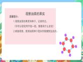 教科版科学四年级下册 2.4 《把种子散播到远处》 教学设计+反思+课件+习题附答案+素材