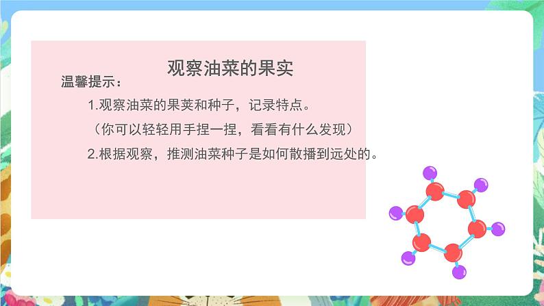 教科版科学四年级下册 2.4 《把种子散播到远处》 教学设计+反思+课件+习题附答案+素材04