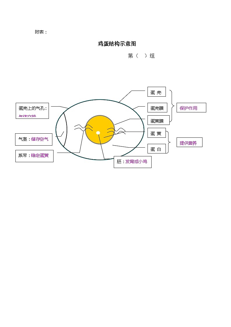 教科版科学四年级下册 2.6  《动物的卵》教学设计+反思+课件+习题附答案+活动记录单+视频素材01
