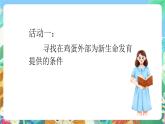 教科版科学四年级下册 2.6  《动物的卵》教学设计+反思+课件+习题附答案+活动记录单+视频素材
