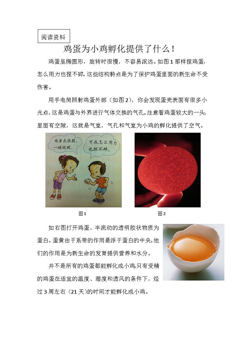 教科版科学四年级下册 2.6  《动物的卵》教学设计+反思+课件+习题附答案+活动记录单+视频素材01