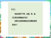 教科版科学四年级下册 2.7  《动物的繁殖活动》 教学设计+反思+课件+习题附答案+微课