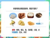 教科版科學(xué)四年級下冊3.1《一天的食物》課件+教案+練習(xí)+素材