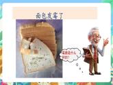 教科版科学四年级下册 3.5  《面包发霉了》教学设计+课件+教学反思+习题附答案+微课+实验记录单