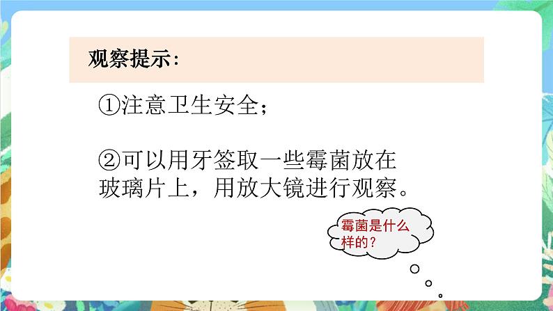 教科版科学四年级下册 3.5  《面包发霉了》教学设计+课件+教学反思+习题附答案+微课+实验记录单04