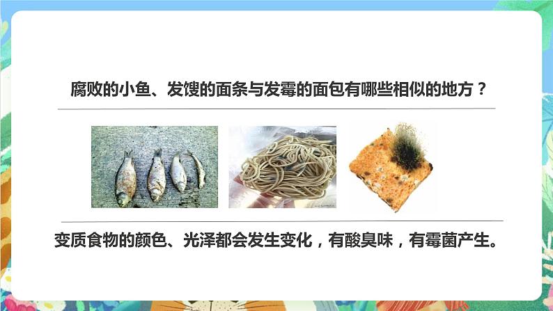 教科版科学四年级下册 3.6《减慢食物变质的速度》课件+教案+练习+素材08