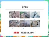 教科版科學(xué)四年級下冊 4.2《認(rèn)識幾種常見的巖石》課件+教案+練習(xí)+素材