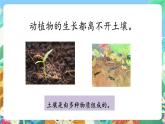 粤科版科学三年级下册  1.2  土壤的组成 课件