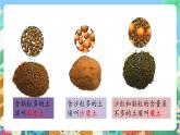 粤科版科学三年级下册 1.3 土壤与植物 课件