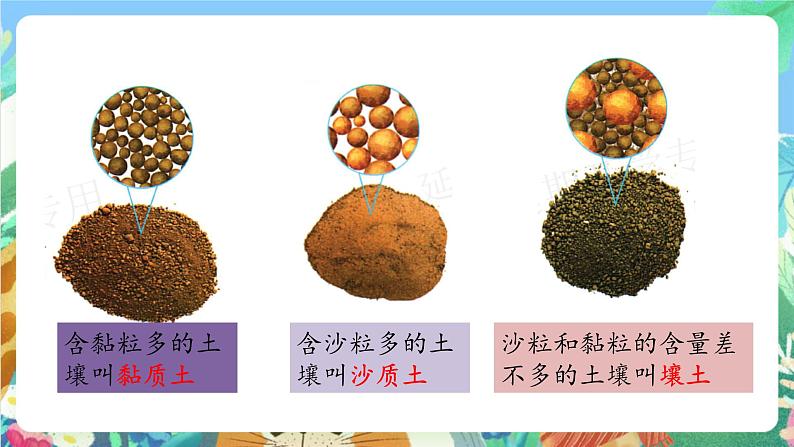 粤科版科学三年级下册 1.3 土壤与植物 课件02