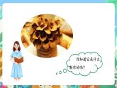 粤科版科学三年级下册 1.4 百变的土壤 课件