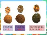 粤科版科学三年级下册 1.4 百变的土壤 课件