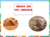 粤科版科学三年级下册 1.5 网络学习：土壤的颜色 课件